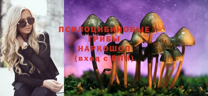 сколько стоит  кракен вход  Галлюциногенные грибы Magic Shrooms  Новое Девяткино 